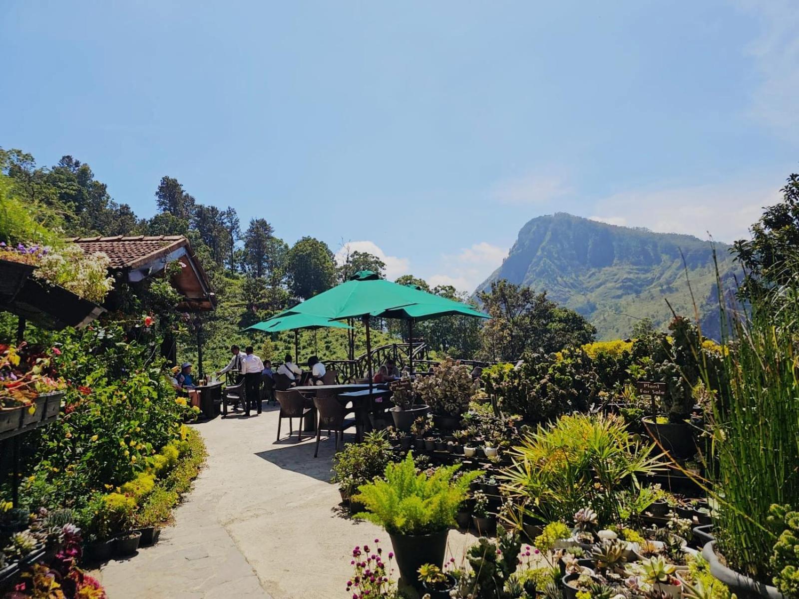 Ella Flower Garden Resort Kültér fotó