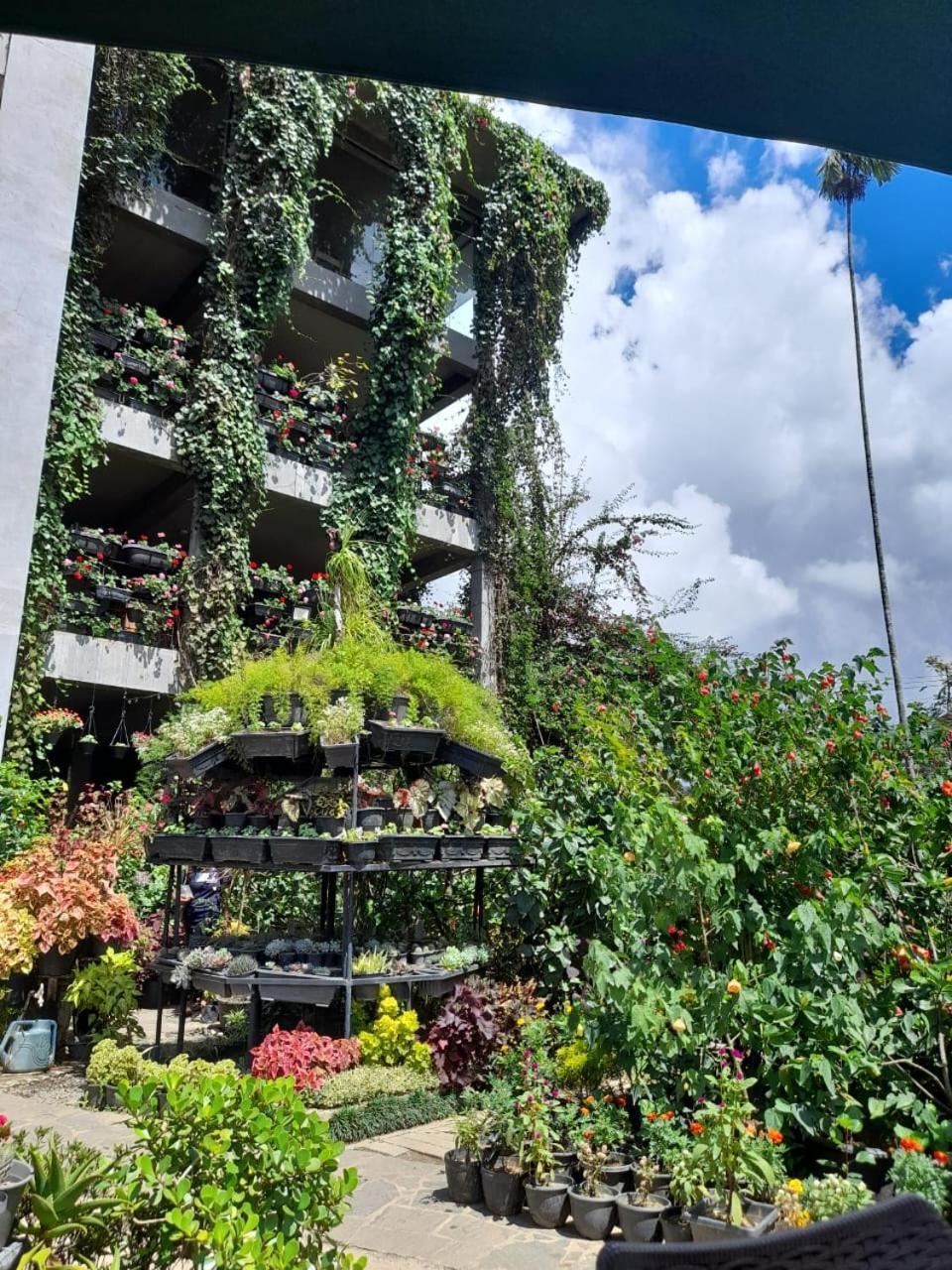 Ella Flower Garden Resort Kültér fotó