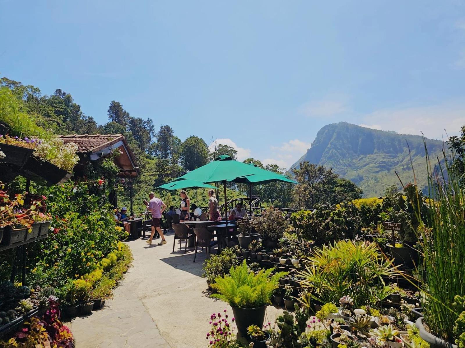 Ella Flower Garden Resort Kültér fotó
