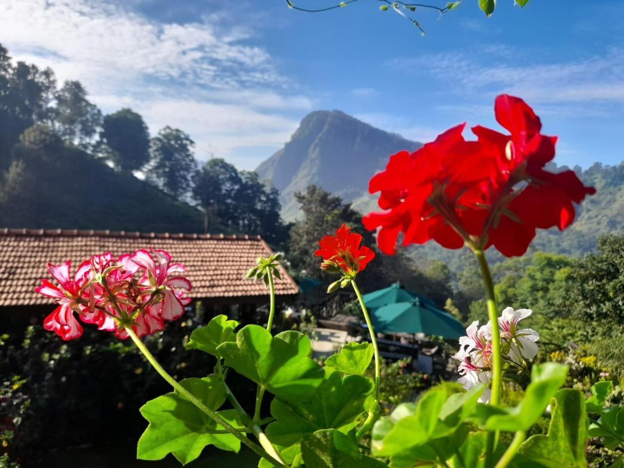 Ella Flower Garden Resort Kültér fotó