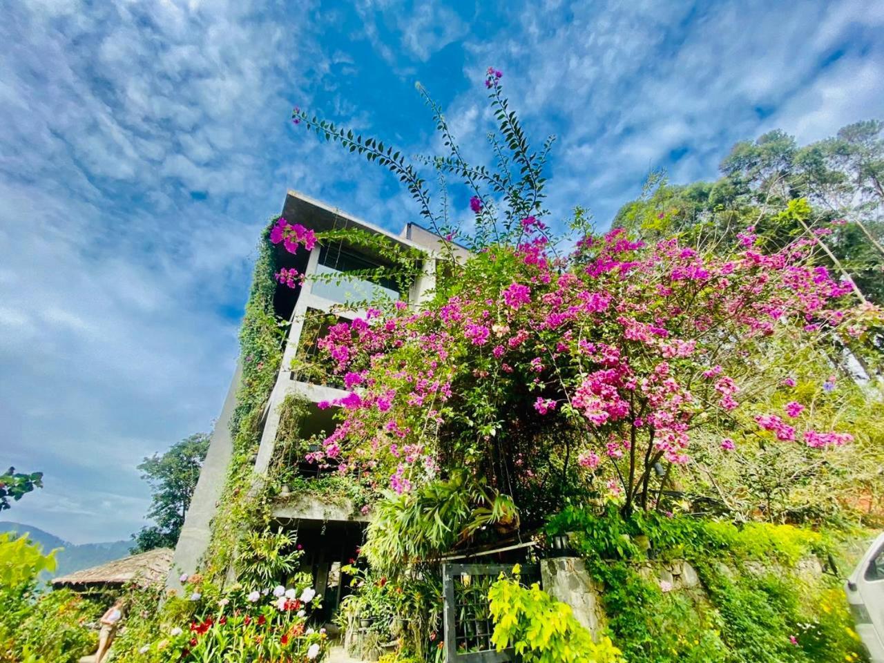 Ella Flower Garden Resort Kültér fotó